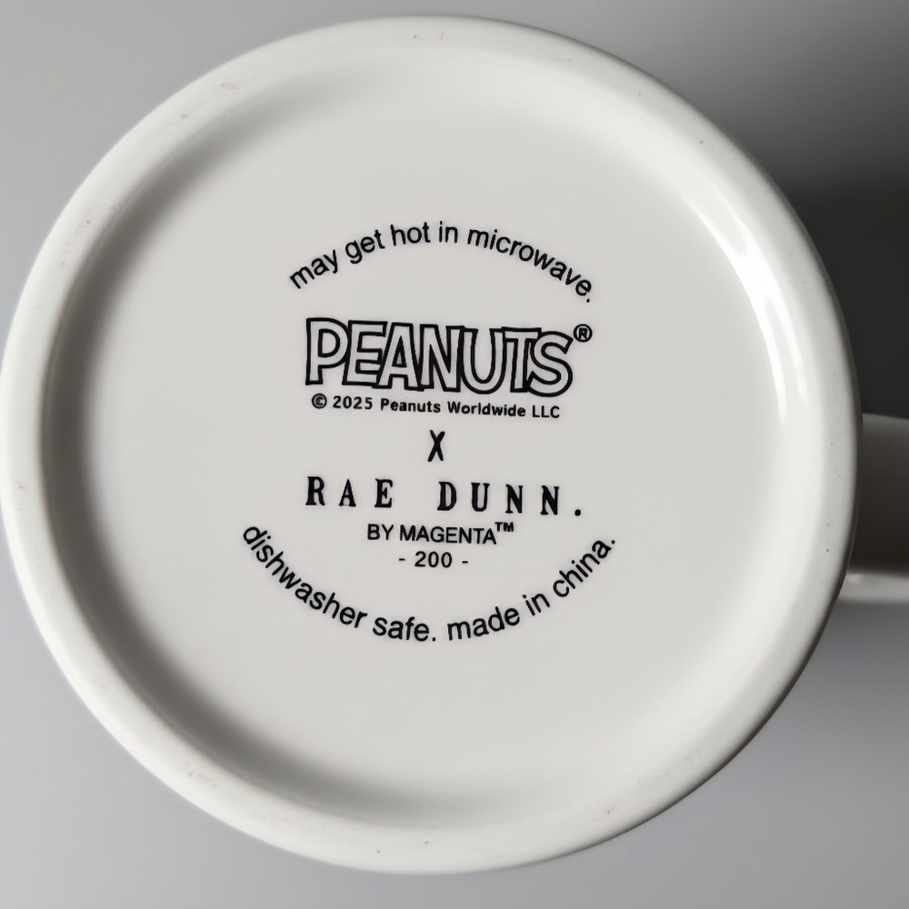 Rae Dunn Peanuts Snoopy Caught In Your Web Halloween 3D Doghouse Ceramic Mug - Picture 5 of 7